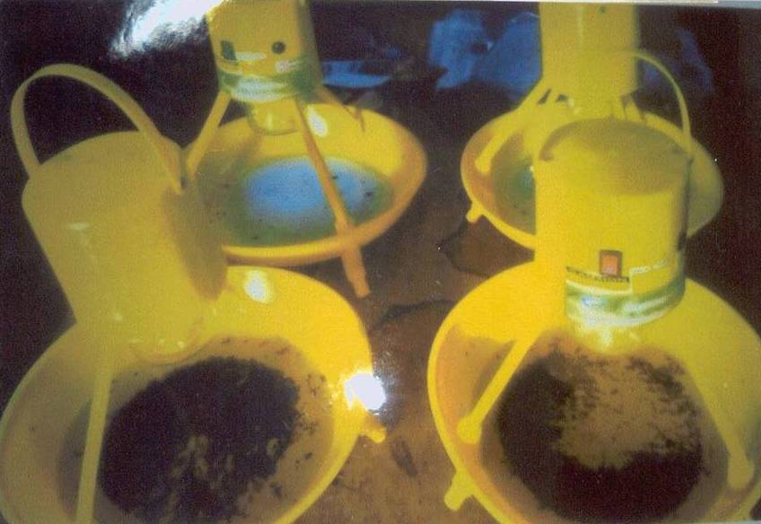 Ultra Voilet Light Trap